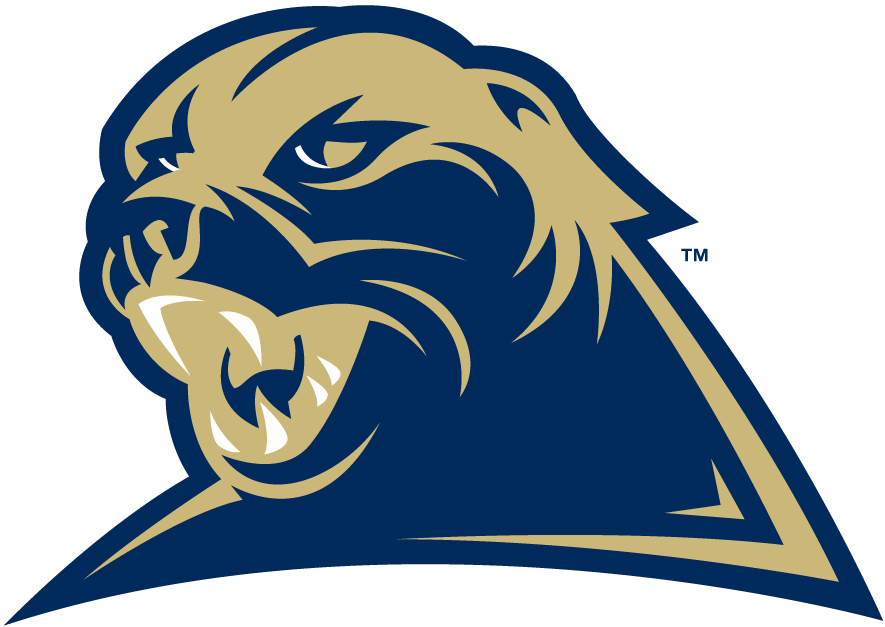 Pittsburgh Panthers 2002-2015 Alternate Logo 01 iron on paper